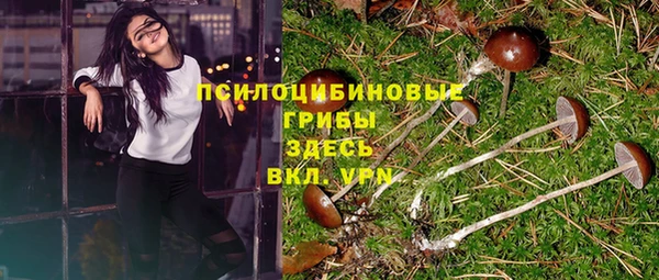 COCAINE Алексеевка